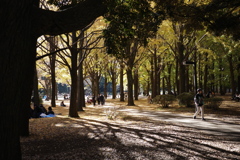 2024秋_代々木公園①