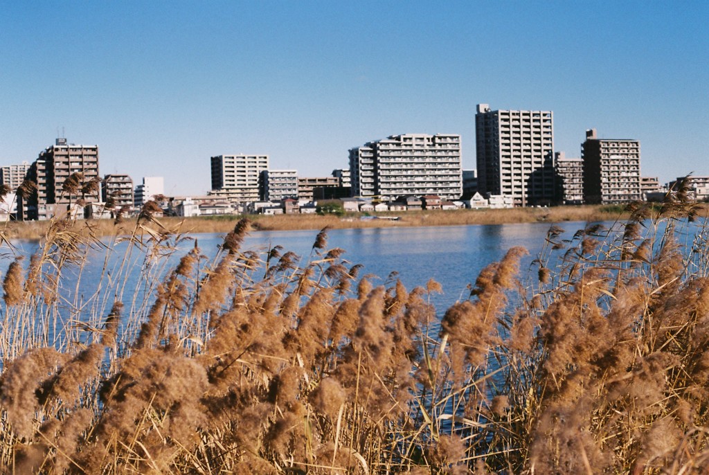 多摩川