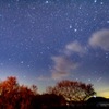 夜空