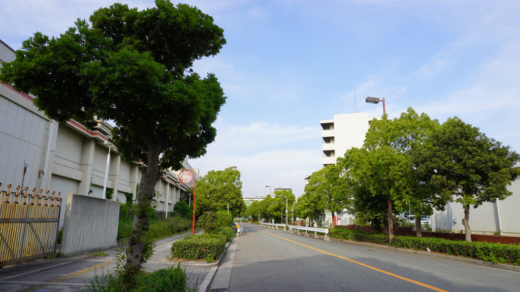 道路