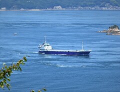 これも日本