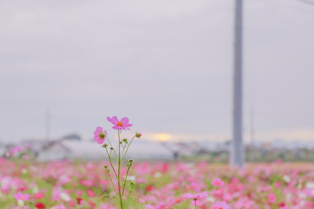 ちょっと背伸び