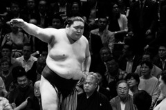 大相撲2019年5月場所千秋楽