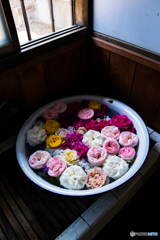 小さな薔薇の泉