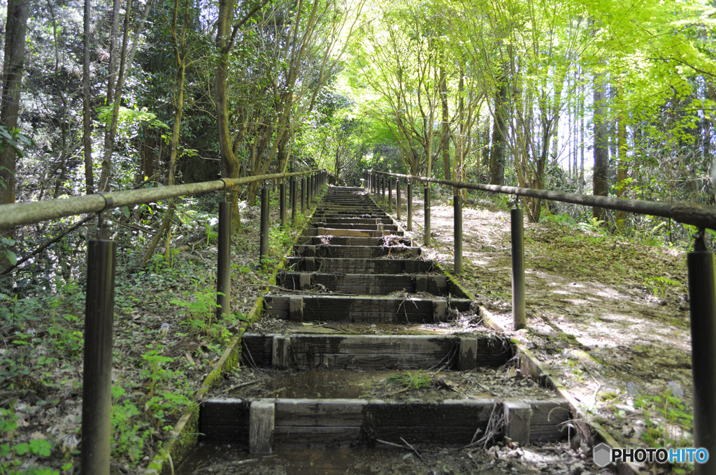 山道