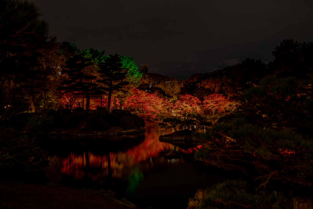 縮景園 もみじまつり