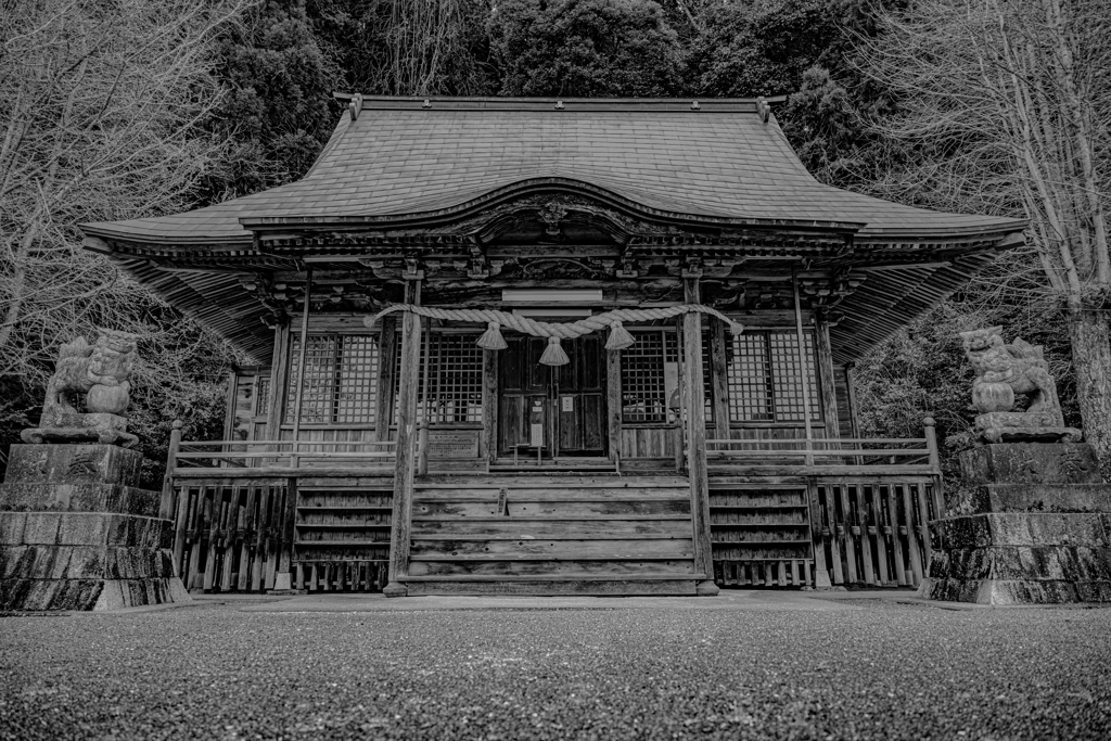 佐々井厳島神社 本殿【モノクロ】