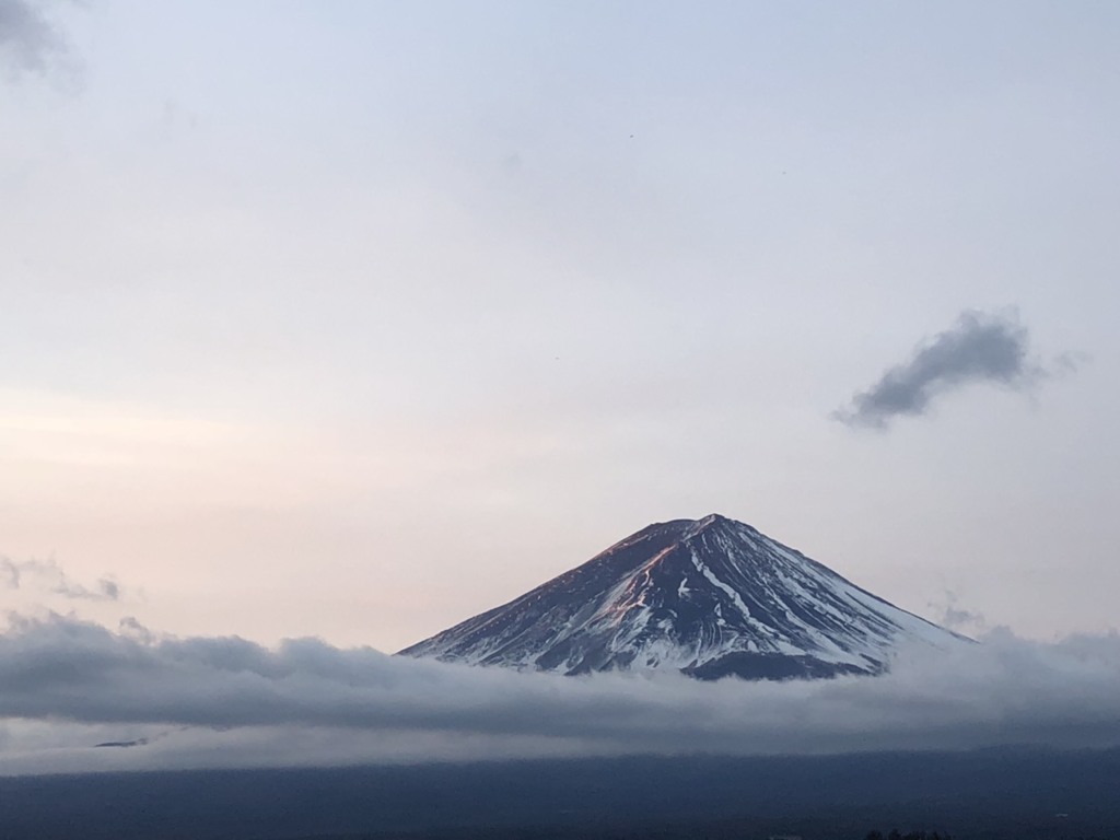 423BAFD8-5230-4ABF-A1F0-3E847FDF1D6A