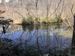 6975CBF4-AA10-450F-ADBE-04822C70A833