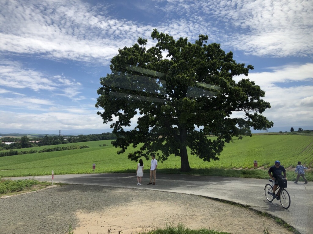 39E09294-75C1-4914-9FDE-1E278C43E7D7