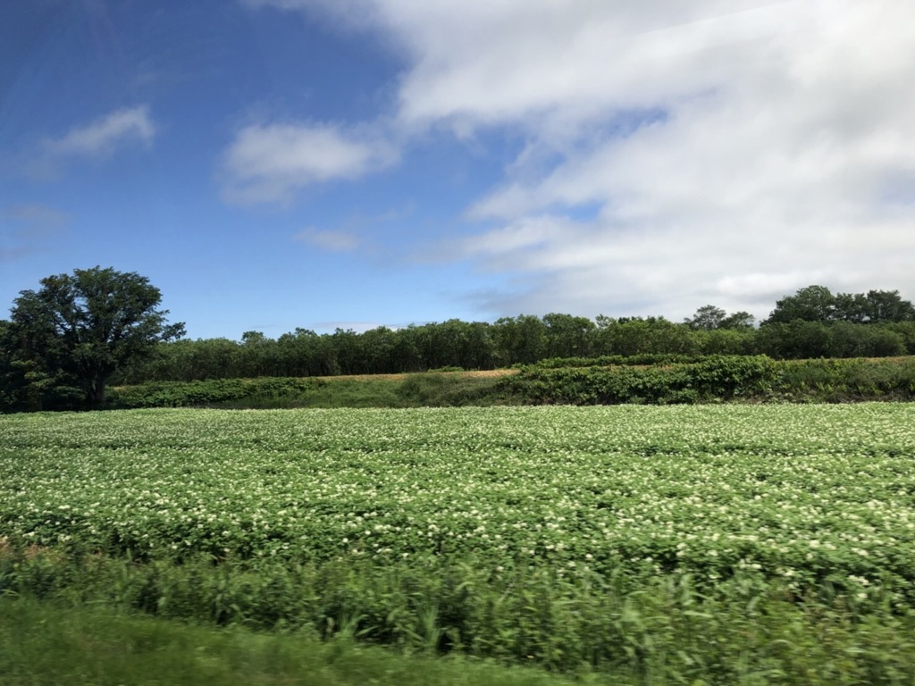 0F2217FC-4686-4655-A09C-21D487C40FE9