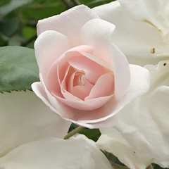 DC3D09AD-B2D8-4A04-9B6C-829CEF66EF12