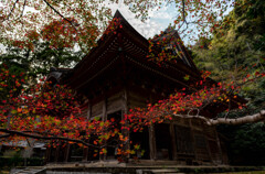 紅葉の寺院