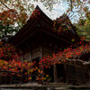 紅葉の寺院