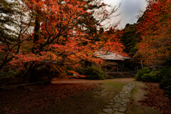 紅葉の寺院