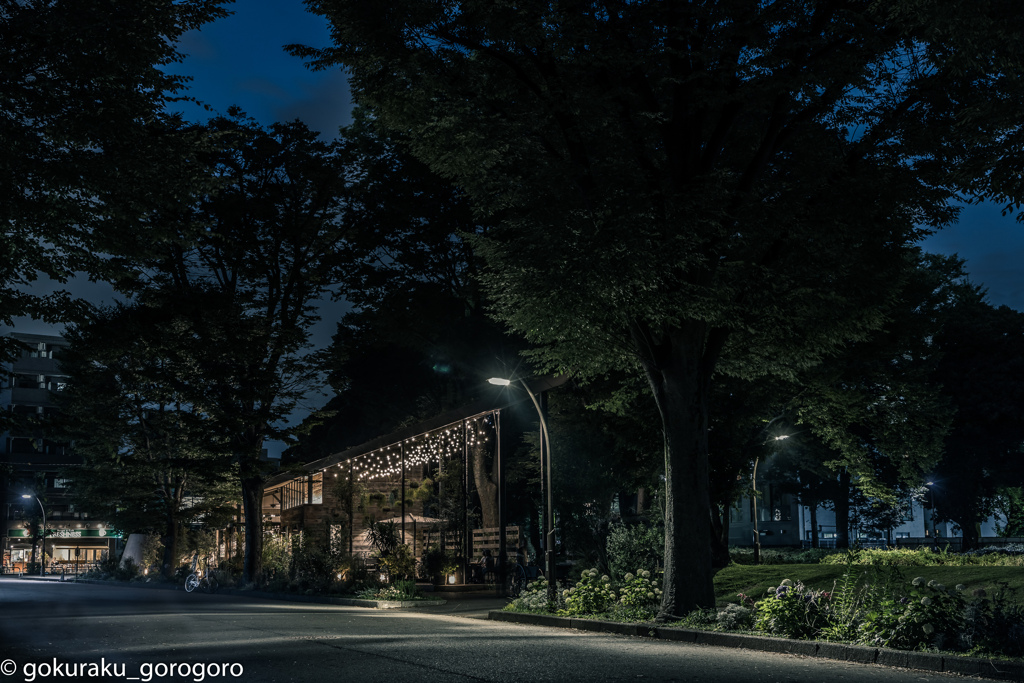 駒沢公園西口　夜の入口