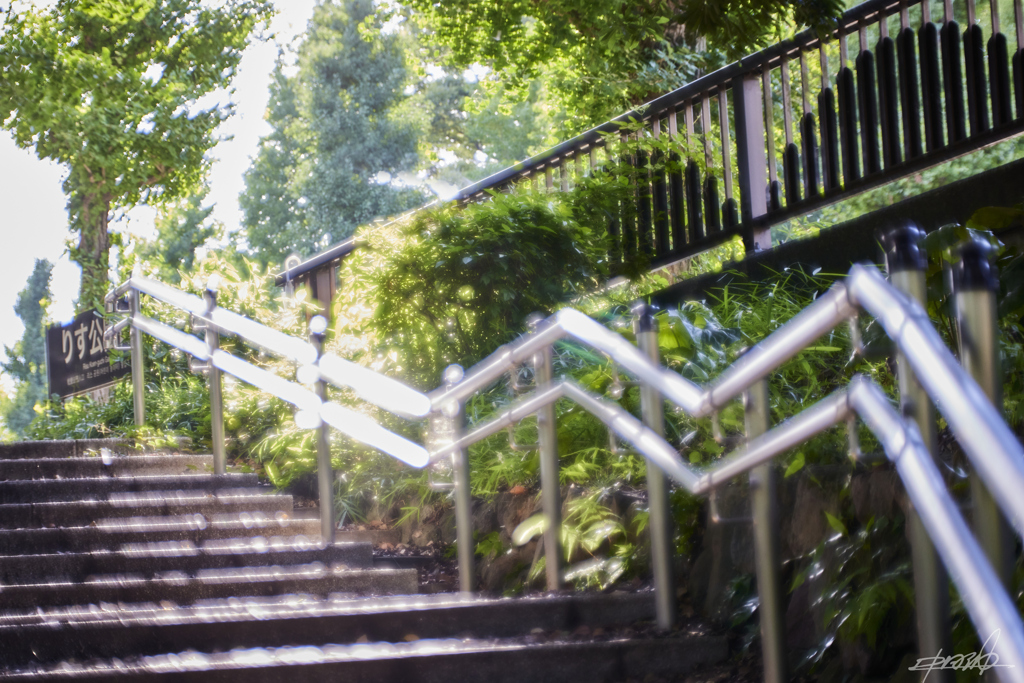 夏への階段