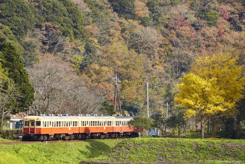 小湊鉄道の秋　season2