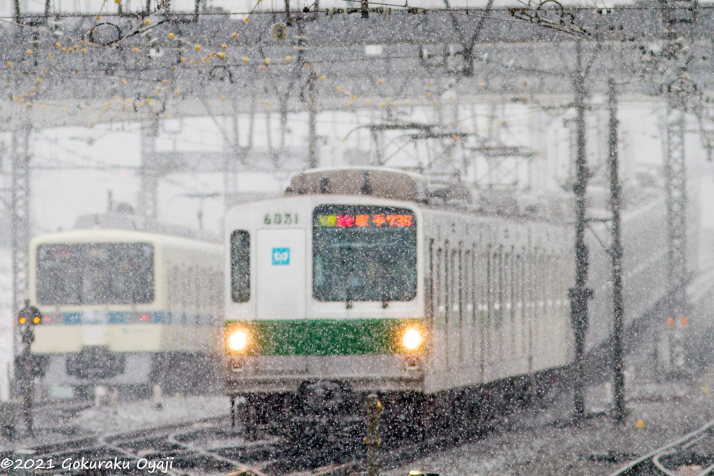 吹雪をゆく