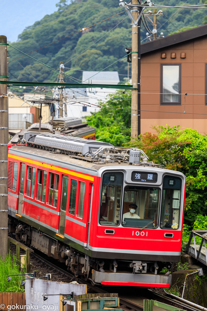 力強く