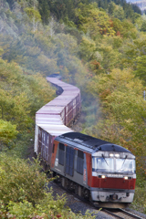 秋の貨物列車（玉ねぎを運ぶ）