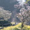 いつもの朝