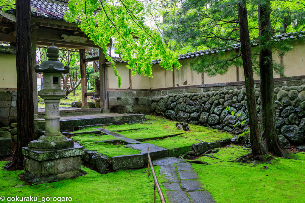 苔寺