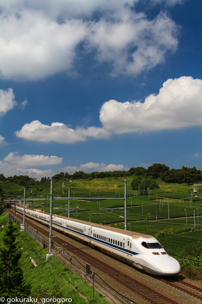 盛夏