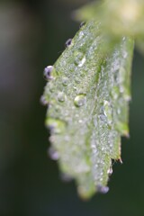 夜の雨で