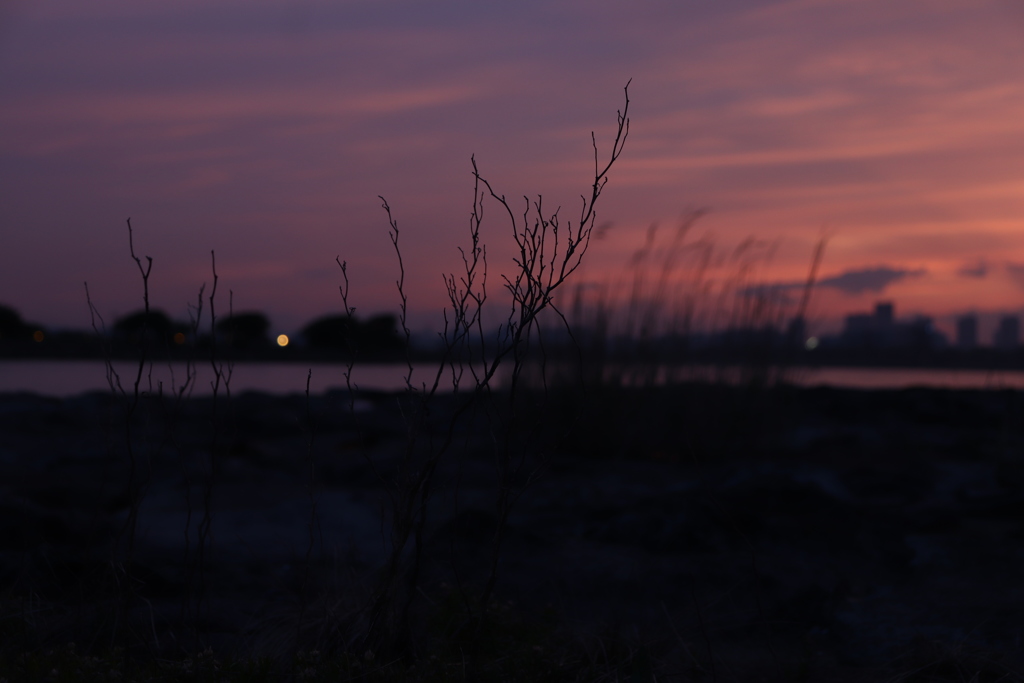 夕日の海