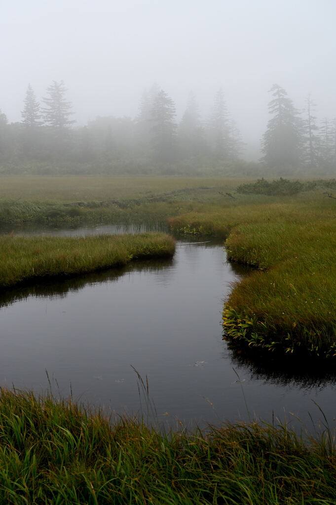 神仙沼湿原②