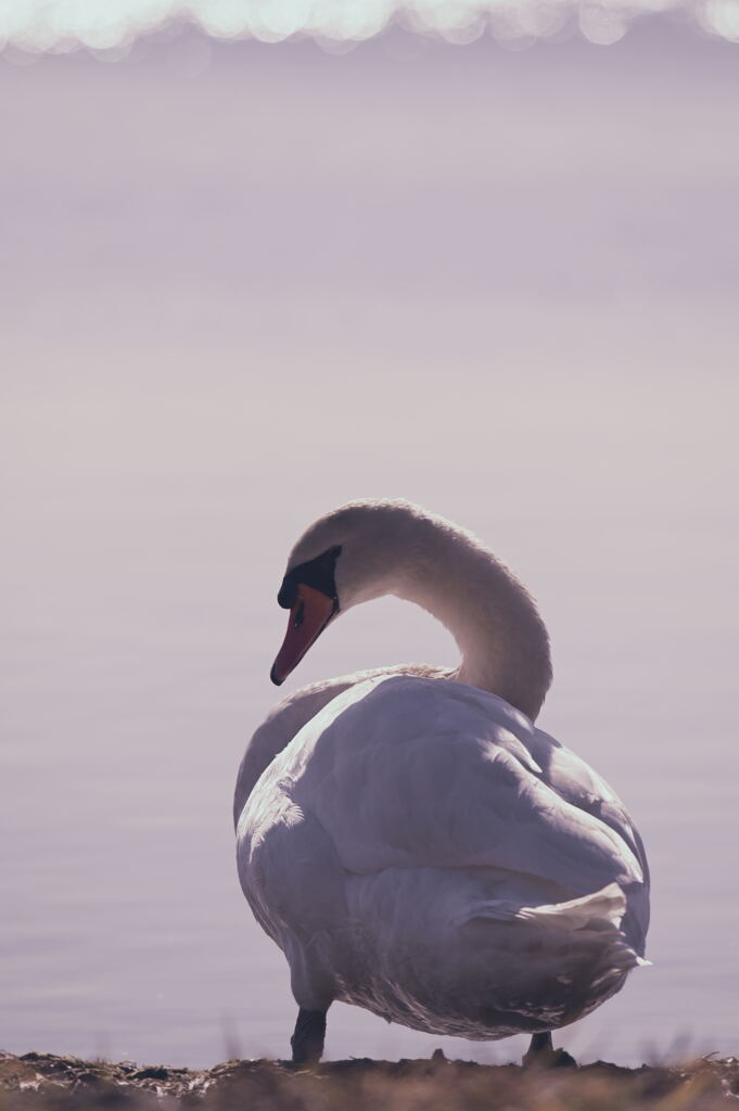 お尻にばかり注目しないで