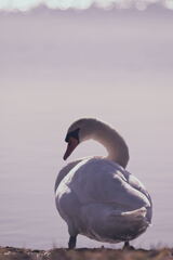 お尻にばかり注目しないで