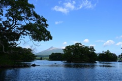 大沼公園からの駒ヶ岳