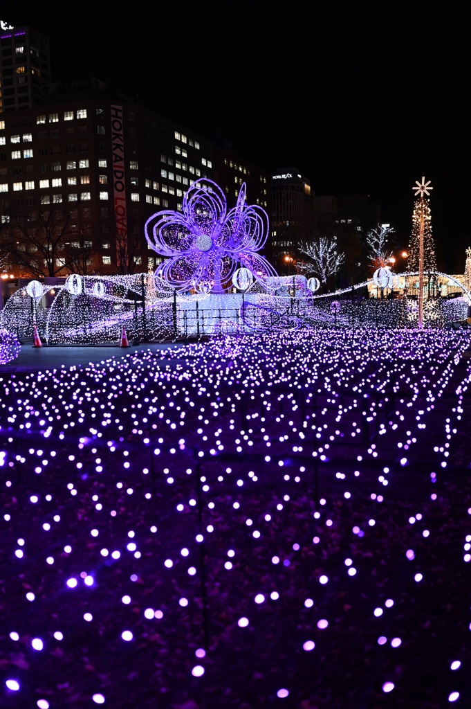 さっぽろホワイトイルミネーション ♯2