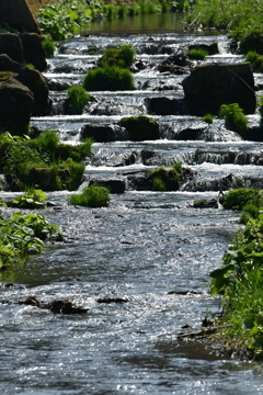 小川の流れ