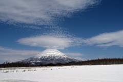 羊蹄山のある風景