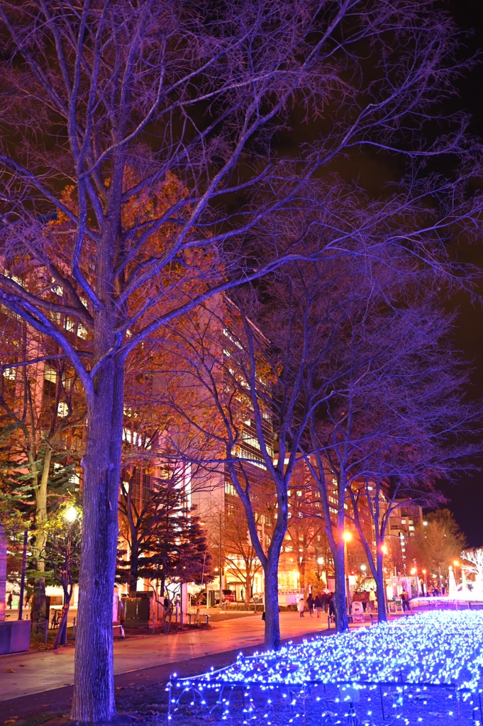 さっぽろホワイトイルミネーション ♯4