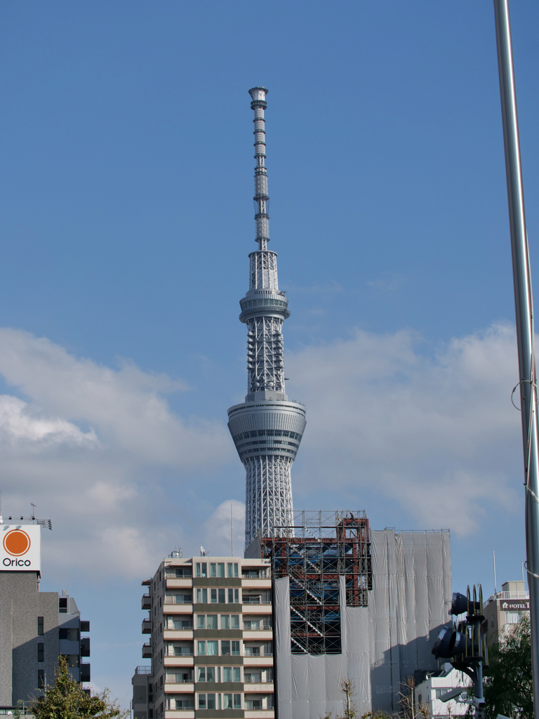 スカイツリー 浅草寺～