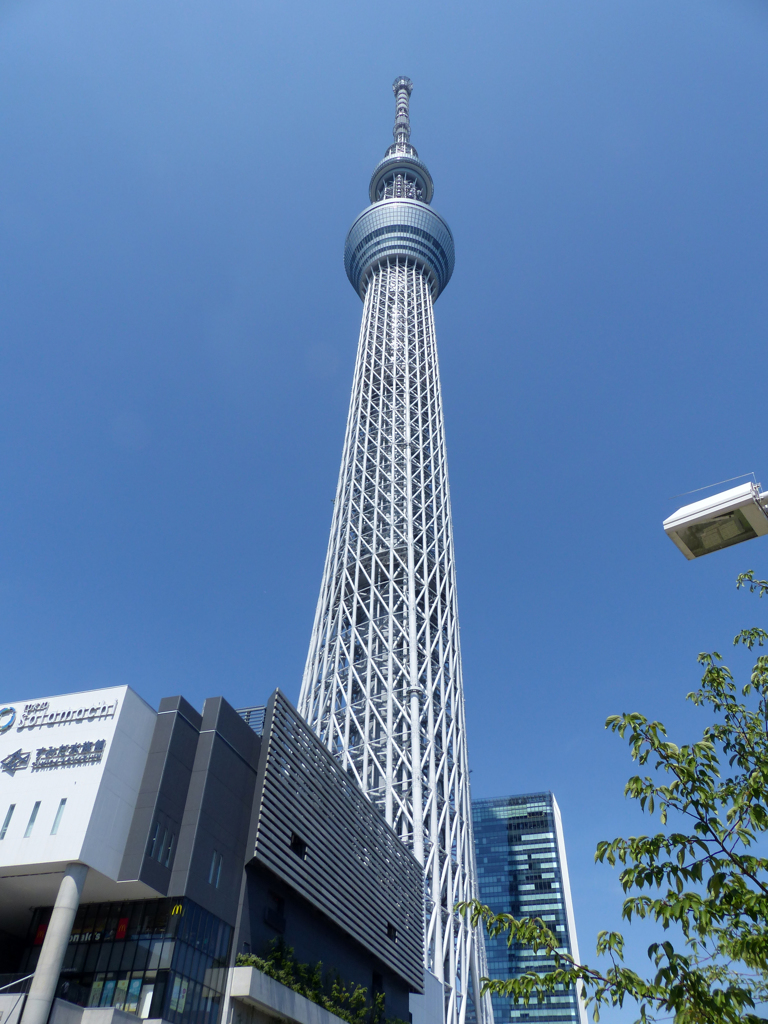 2014 スカイツリー