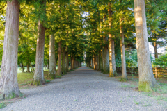 ハンナガーデン