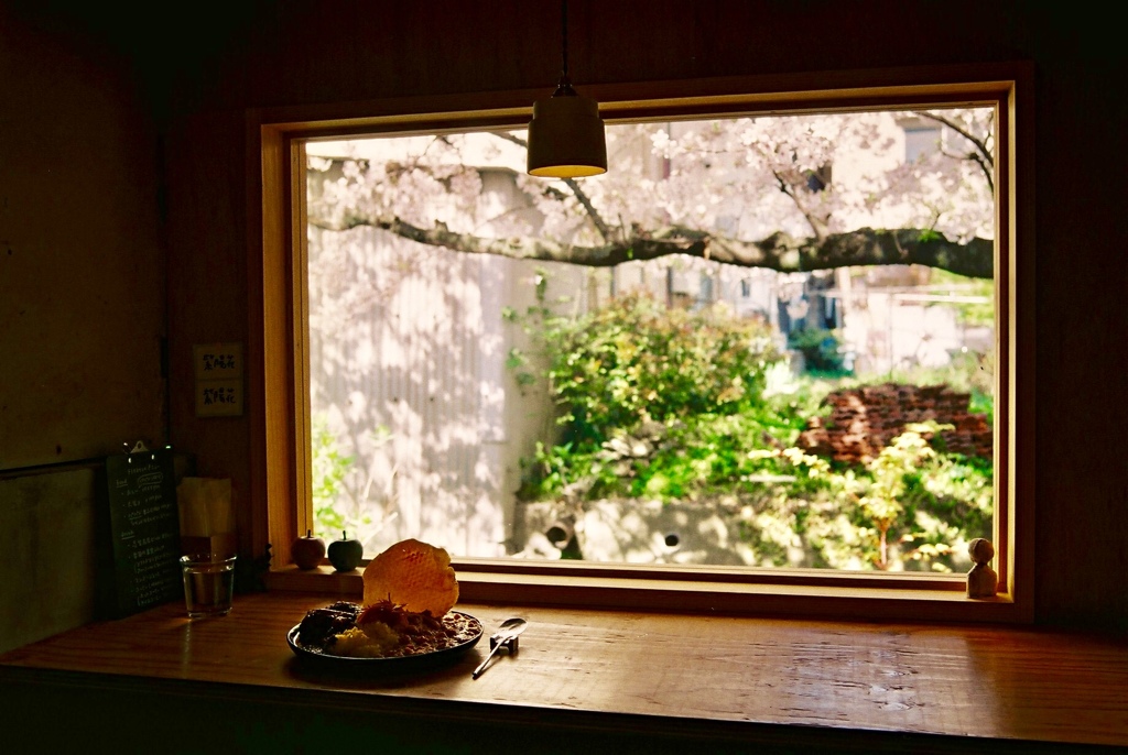 ランチ