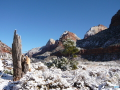 Zion National Park