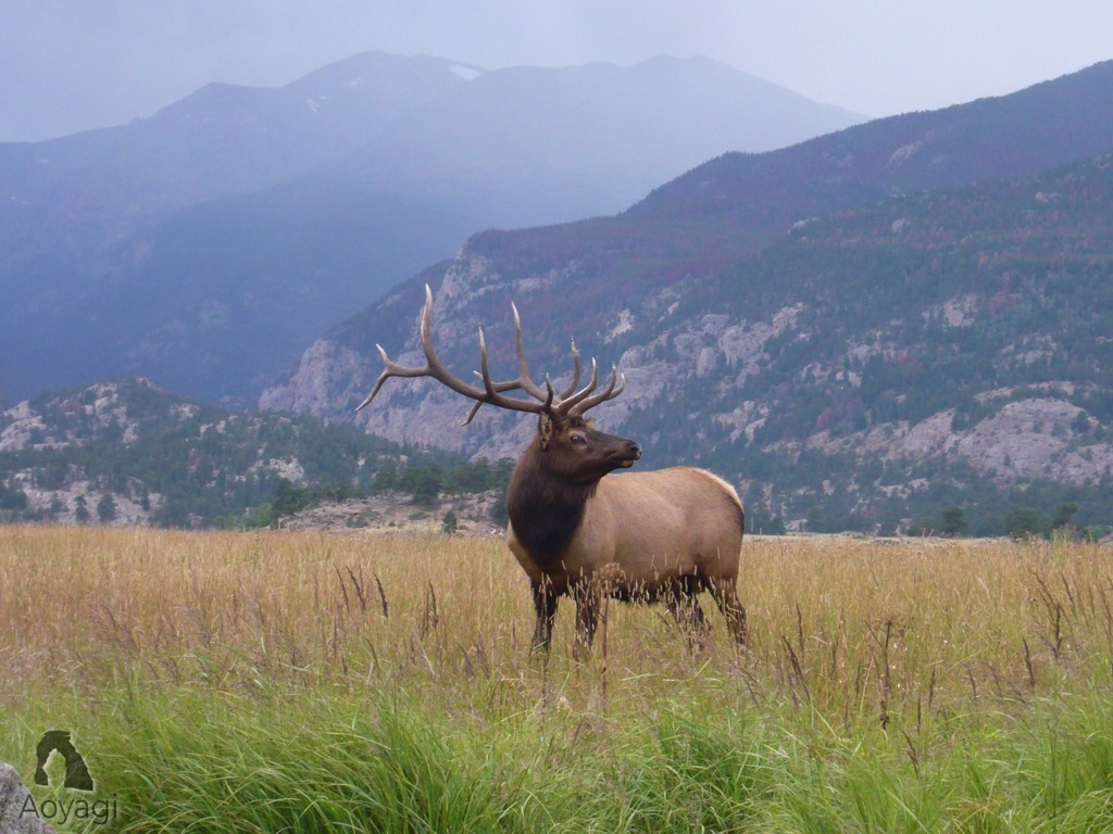 Rocky mountain national parkにて