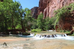 Havasupai