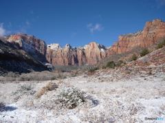 Zion National Park