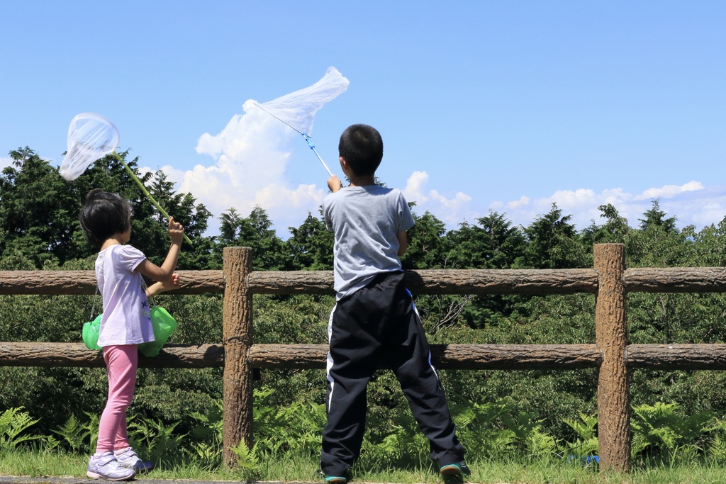 捕まえたのは2021年の夏雲