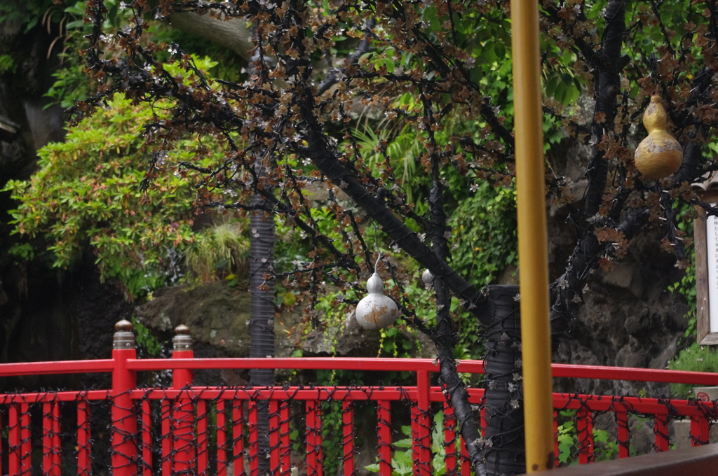 CBCF0D3A-13BF-43AC-A954-C6A851E1ADCC