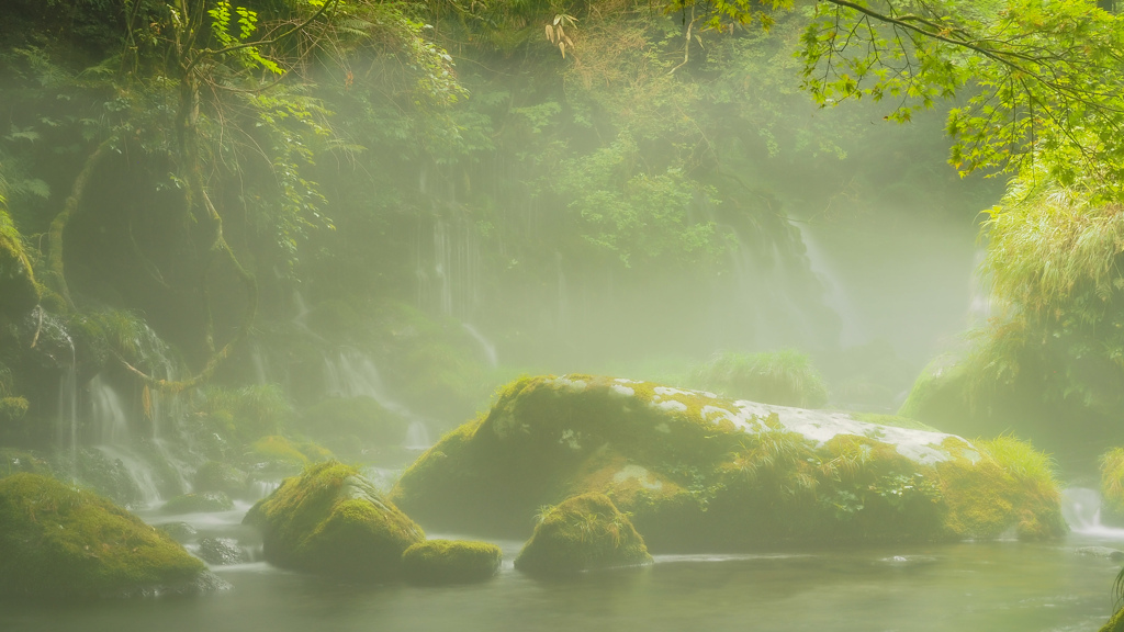 モヤが幻想的