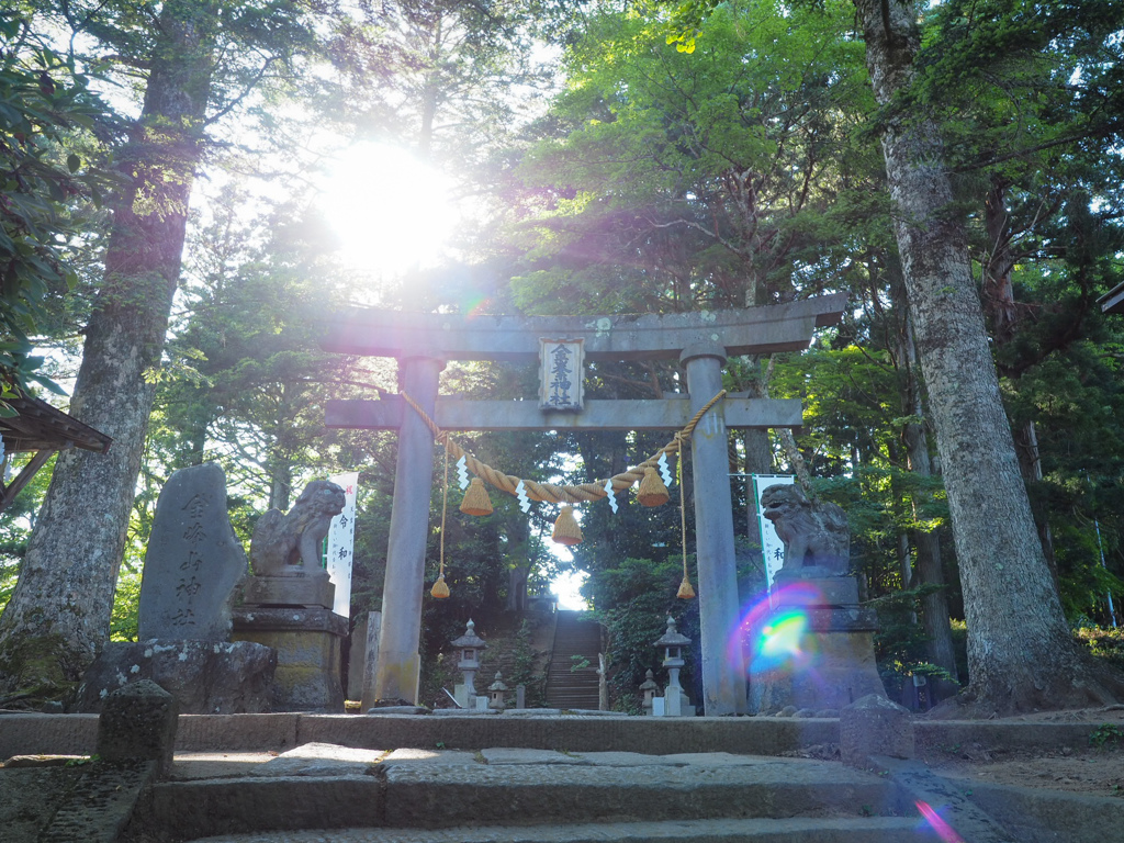逆光鳥居